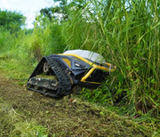 The Paddock™ Remote Controlled Mower 16HP - 740mm, by Paddock, features a powerful 4-stroke petrol engine and a durable track drive system to efficiently cut grass even near tall vegetation on sunny days, blending effortlessly into its lush green surroundings.